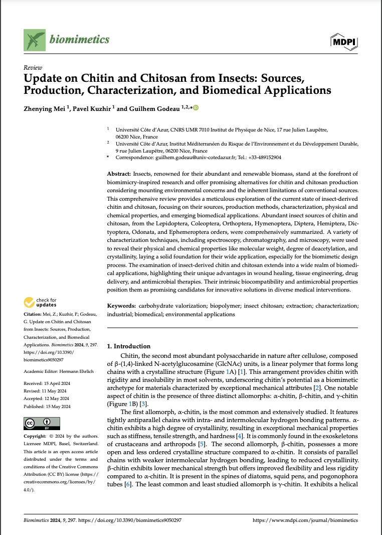 Chitin and Chitosan from Insects: Sources, Production, Characterization, and Biomedical Applications